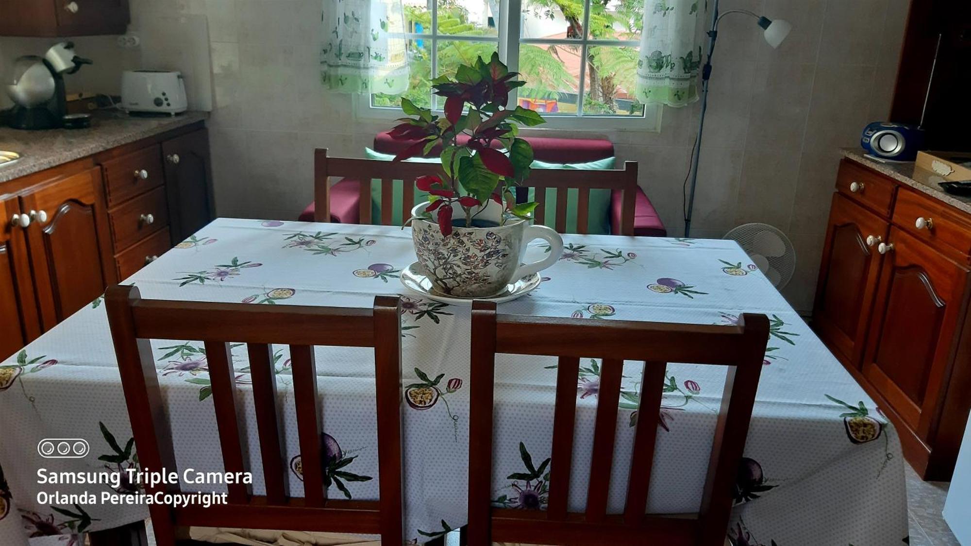 Terra Cha Cottage,Feel Home, São Vicente 외부 사진