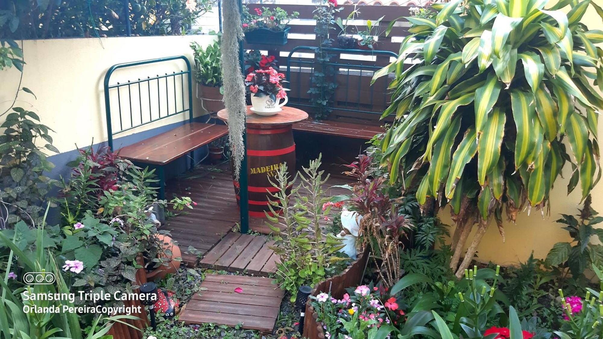 Terra Cha Cottage,Feel Home, São Vicente 외부 사진