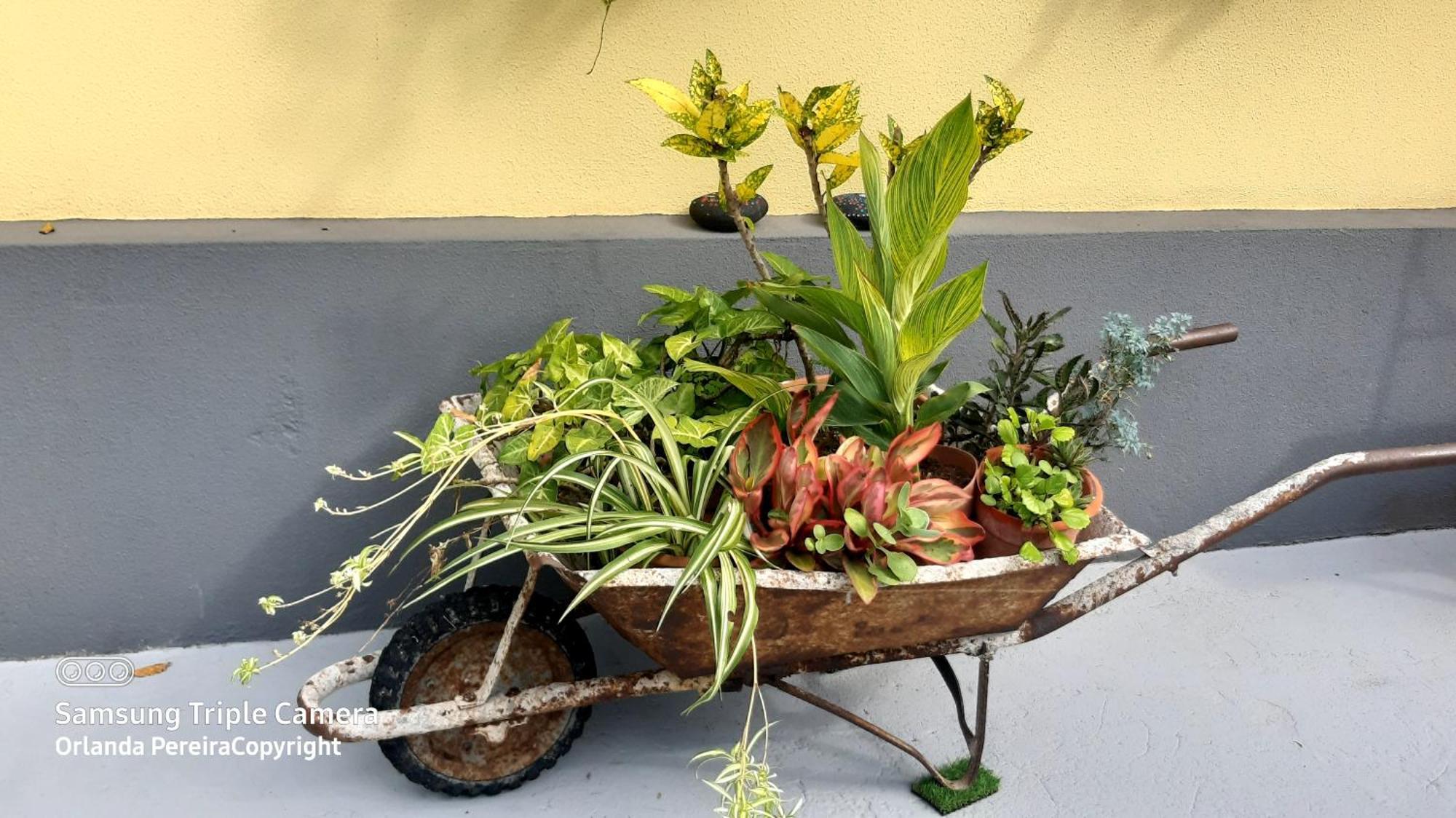 Terra Cha Cottage,Feel Home, São Vicente 외부 사진