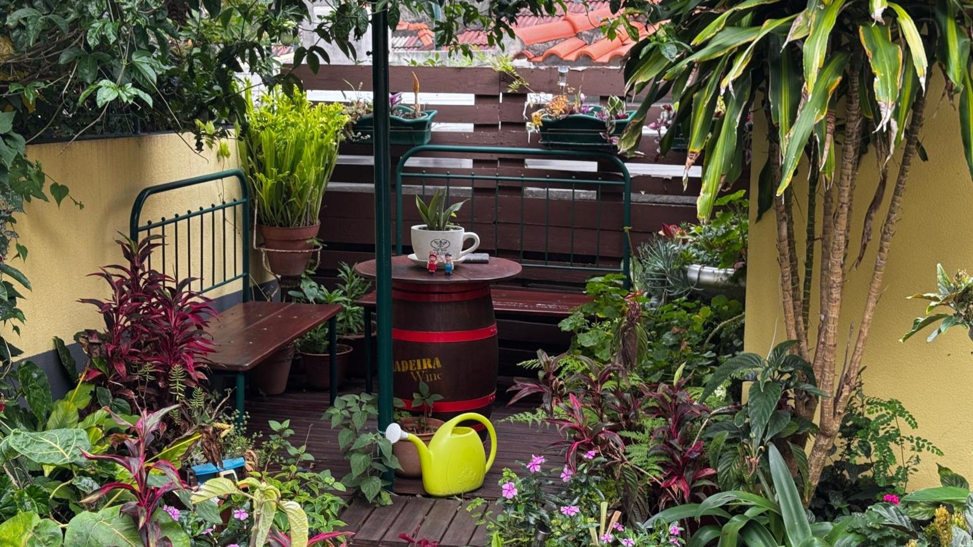 Terra Cha Cottage,Feel Home, São Vicente 외부 사진